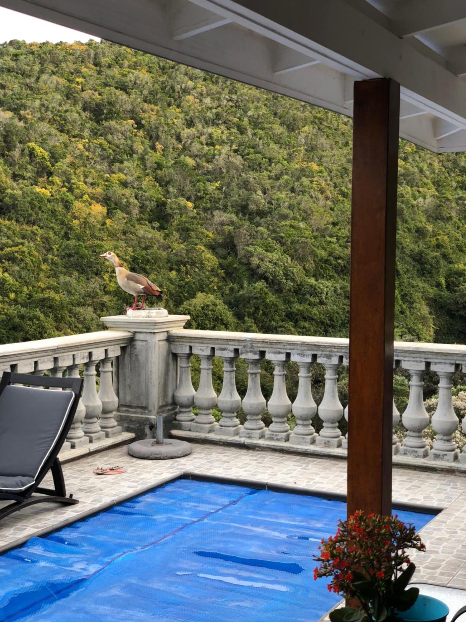 Livingstone Villa وايلدرنيس المظهر الخارجي الصورة